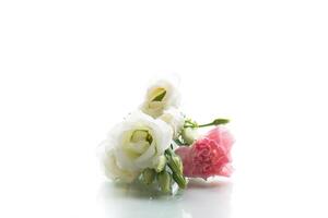 Delicate composition of white and pink flowers, isolated on white background. photo