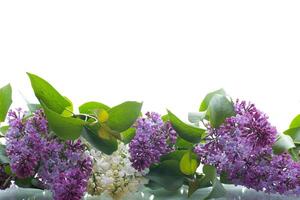 Bouquet of white and purple lilacs on a white background. photo