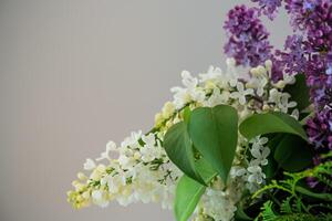 Elegant floral arrangement of lilacs on a gray background . photo