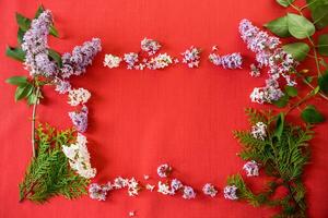 Floral frame of white and purple lilac with empty space on red background . photo