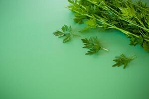 Green parsley with bright texture on a plain background photo