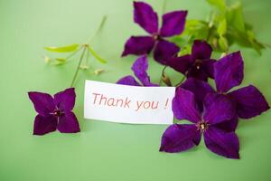 Isolated branch of clematis with petals on green photo
