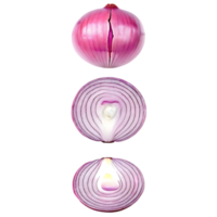 Three Red Onion Sections Showing Layers on transparent Background png