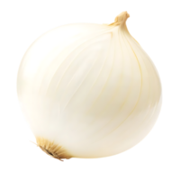 White Onion Bulb Isolated on transparent Background for Culinary Use png