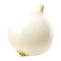 Fresh Oyster in Shell on transparent Background Seafood Delicacy png