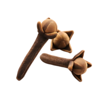 Macro Photography of Three Cloves on transparent Background png