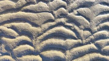 The texture of the beach soil forms a natural pattern due to sea water and animals. photo
