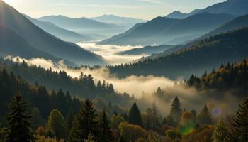 a valley filled with fog and the silhouettes of trees and peaks breaking through into morning light. photo