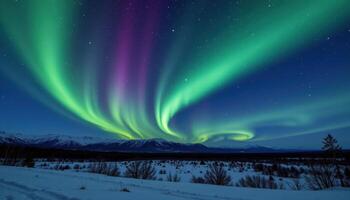 a night sky over a snowy landscape, illuminated by aurora borealis in shades of green, purple, and blue. photo