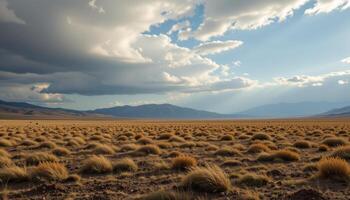 a high altitude steppe under a cloud streaked sky, with cold wind pushing low grasses across the wide plain. photo