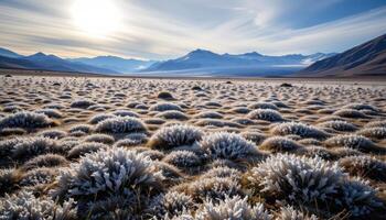 a vast tundra covered in frost kissed grasses, under a pale winter sun with a lone glacier standing quietly in the background. photo