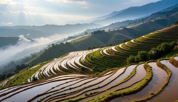 a terraced rice field stretching across a misty hillside, each level filled with water reflecting the soft blue of early dawn. photo