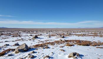 a vast tundra plain under a cold blue sky, where only scattered rocks and patches of lichen interrupt the endless stretch. photo