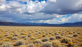a rolling plain covered in sagebrush and distant mesas under a sky filled with drifting clouds. photo