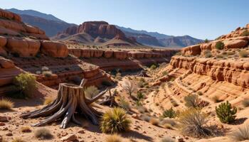 a forgotten desert canyon filled with fossilized tree stumps and ancient mineral layers. photo