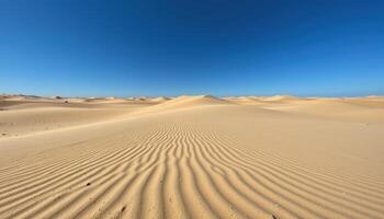 a vast dune sea under a cobalt sky, each ripple in the sand perfectly sculpted by the relentless wind. photo