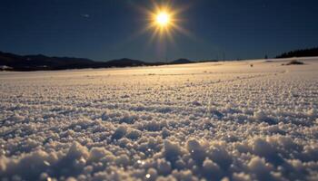 a glimmering field of fresh snow under moonlight, where individual crystals catch the light in a silent display. photo