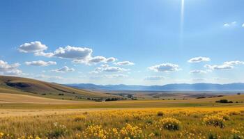 a wide, sunlit steppe with rolling hills and grass shimmering under the movement of air. photo