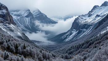 a mountain gorge veiled in snow and fog, the trees below barely visible through the mist. photo
