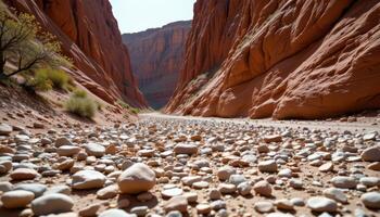 a canyon floor choked with dry riverbed stones, where lizards once scurried among the heat blasted rock. photo