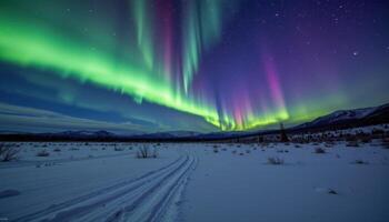 a silent tundra under aurora filled skies, where snow sparkles in green and blue lights. photo