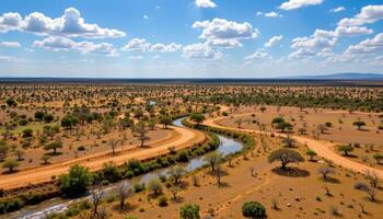 a sun drenched savannah with scattered acacia trees and dry riverbeds winding across the plain. photo