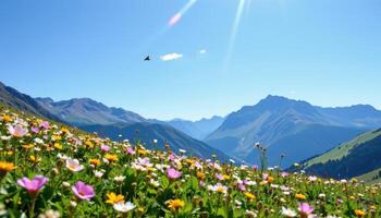 a quiet alpine meadow dotted with wildflowers and buzzing bees beneath a brilliant blue sky. photo