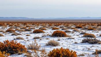 a windswept tundra plain dotted with low shrubs and snow patches under a pale sky. photo