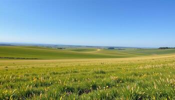 a vast grassy plain with gentle rolling hills stretching to the horizon under a wide open sky. photo