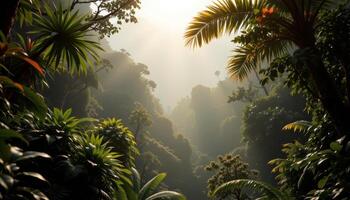 a tropical rainforest canopy shrouded in morning mist with sunlight breaking through dense foliage. photo