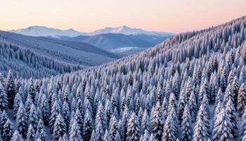a dense alpine forest blanketed with fresh snow under a pale winter sky. photo