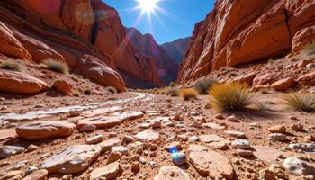 a desert canyon floor covered in colorful mineral deposits beneath a hot midday sun. photo