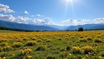 a wide open grassy plain dotted with wildflowers and distant mountain peaks beneath a bright sky. photo
