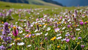 a peaceful alpine meadow covered in blooming wildflowers and buzzing with insects. photo