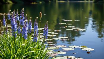 tall stalks of blue delphinium line the edge of a still lake, their reflections broken only by drifting lily pads. photo
