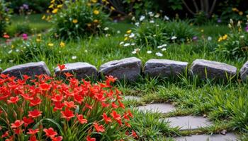 a field of red spider lilies unfurls beneath a line of weathered stones marking a forgotten pathway. photo