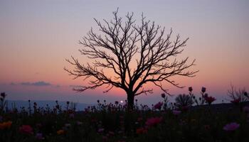 the silhouette of a bare tree is framed by blooming wildflowers in every shade beneath a pale twilight sky. photo