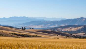 dry grassland stretching to hazy hills. photo