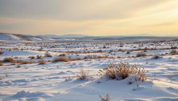 snow covered plains stretching beneath a pale sky. photo