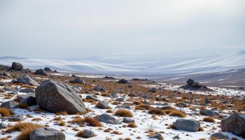 tundra landscape with scattered boulders and cold winds. photo