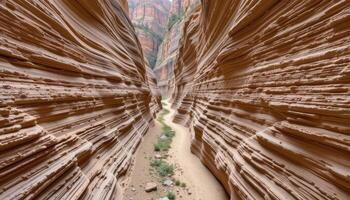 narrow gorge with layered sediment patterns photo
