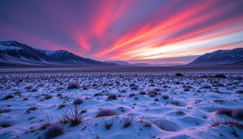 fields of ice crystals under pink twilight photo