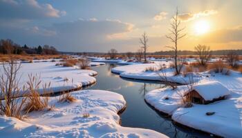 ice covered marshland under muted winter sun photo