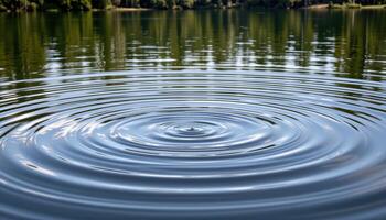 faint ripples spreading across a forest lake photo