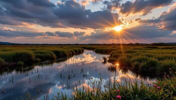 tidal marsh glowing under silver evening light photo