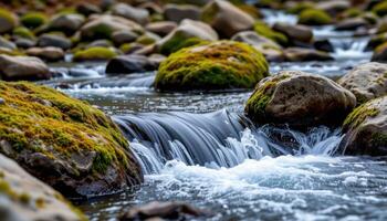 rushing stream cutting through mossy boulders photo