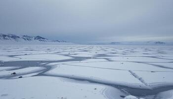 a frozen tundra with icy plains and snowdrifts under an overcast sky. photo