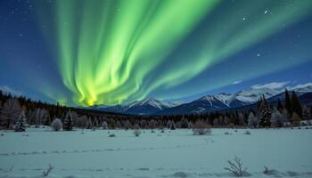 a snowfield under the northern lights. photo