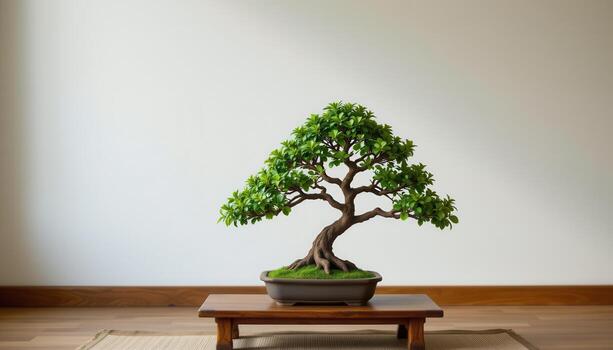 a bonsai tree centered on a low wooden table. photo