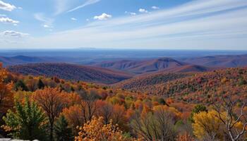 a scenic overlook above rolling forest hills. photo